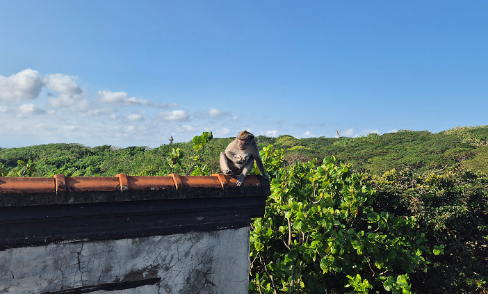 [발리] 7/21~7/26 3인가족여행 후기. 가이드 *디안*