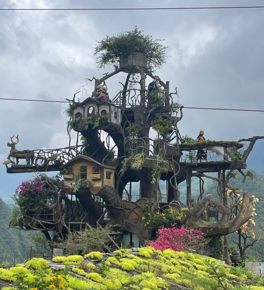 [하노이] 하노이 사파감탄팩 후기입니다~ [콜라가이드님]