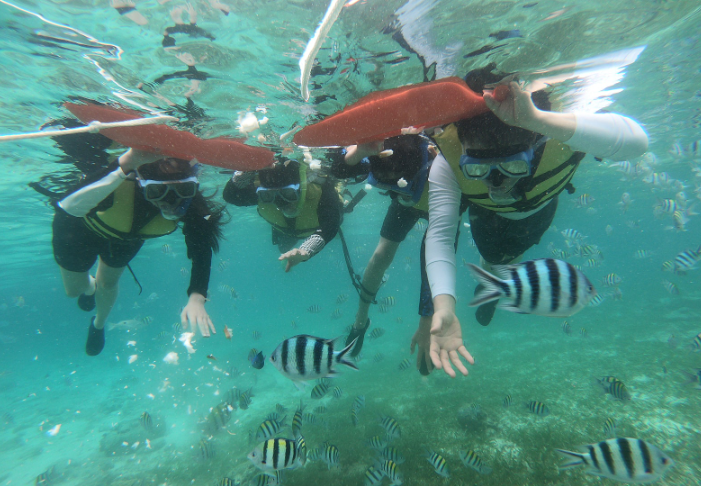 [세부] 2박 4일 세부여행 후기입니다^^