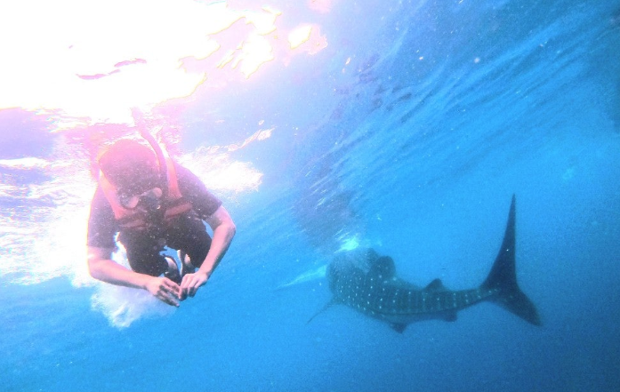 [세부] 환상적이였던 3박5일 세부여행:p (with.채플린)