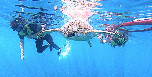 [세부] (세부3박5일) 세부여행은 가이드맨채플린 가이드님!최고!즐거웠어요^^