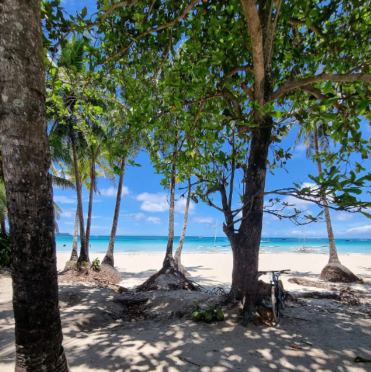 [보라카이] 김주원 보라카이 후기 ^^