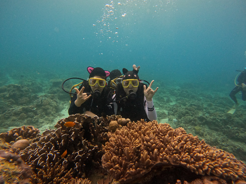 [보라카이] [8월14일~8월17일] 보라카이헬로우 맘
