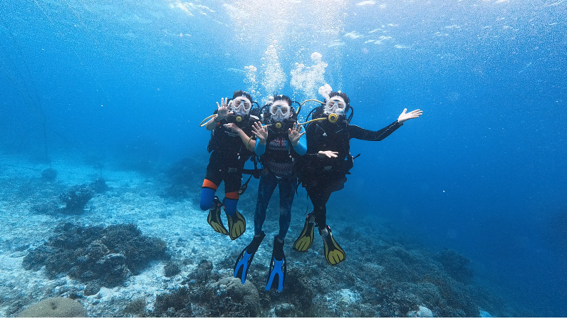 [보홀] 보홀 가이드맨 Emma 와 3박5일