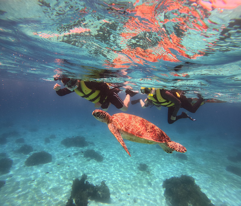 [보홀] 가이드맨 3박 5일 보홀가족여행