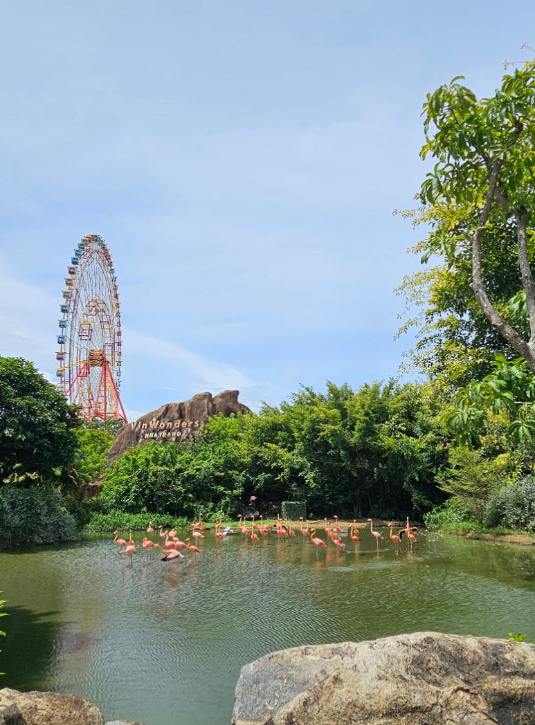 [나트랑] '미인' 가이드님과 '븐' 기사님 함께 한 나트랑여행 후기